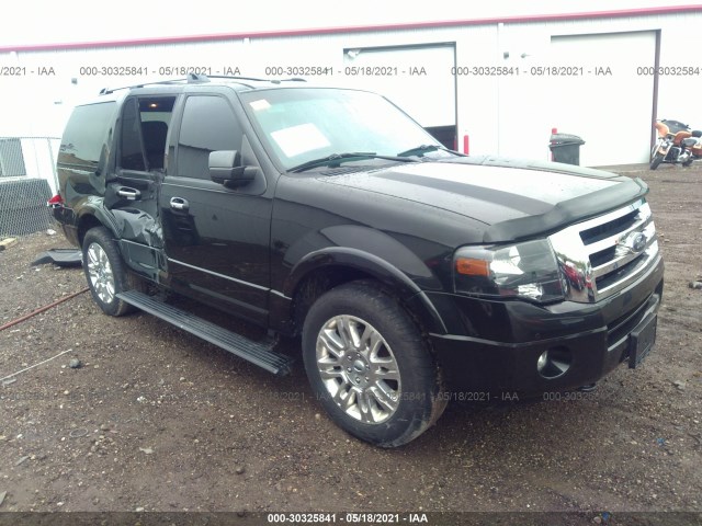 FORD EXPEDITION 2014 1fmju2a59eef08357