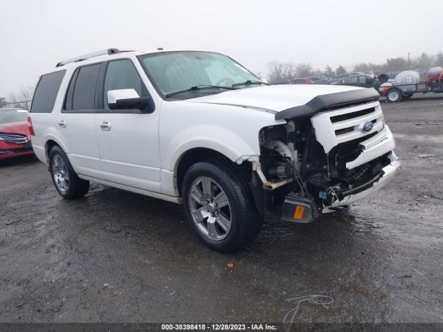 FORD EXPEDITION 2010 1fmju2a5xaea99683