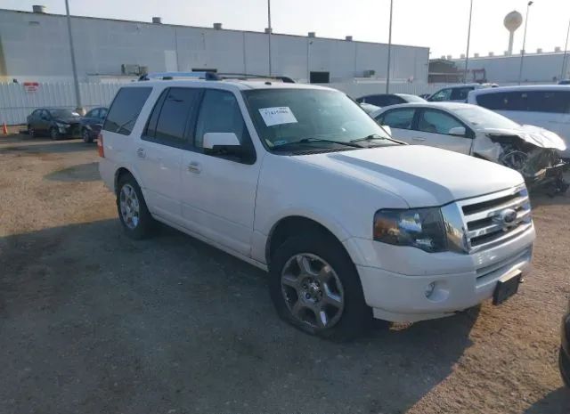 FORD EXPEDITION 2013 1fmju2a5xdef13842