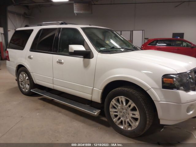 FORD EXPEDITION 2013 1fmju2a5xdef19396