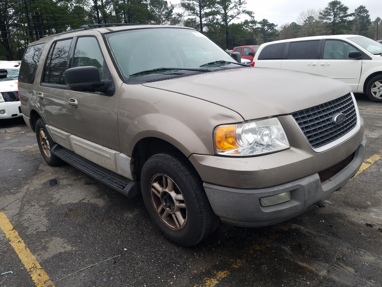 FORD EXPEDITION 2003 1fmpu15l93lb78922