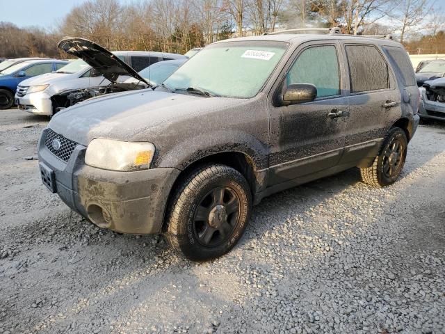 FORD ESCAPE 2005 1fmyu02z65kc29695