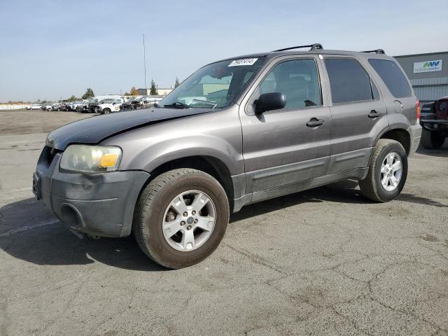 FORD ESCAPE XLT 2005 1fmyu03105kb43307