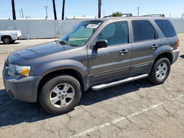 FORD ESCAPE XLT 2005 1fmyu03105ke02300