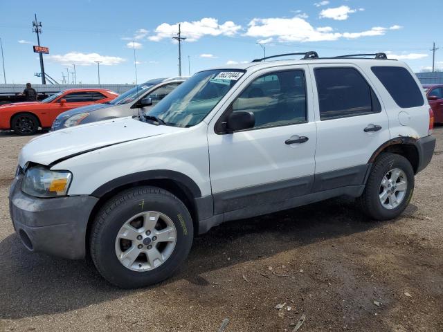 FORD ESCAPE 2007 1fmyu03107kc08949