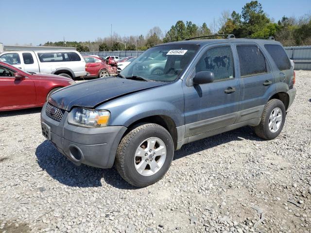 FORD ESCAPE 2006 1fmyu03116ka87105