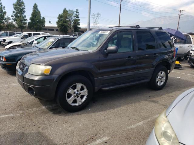 FORD ESCAPE 2007 1fmyu03117ka76249