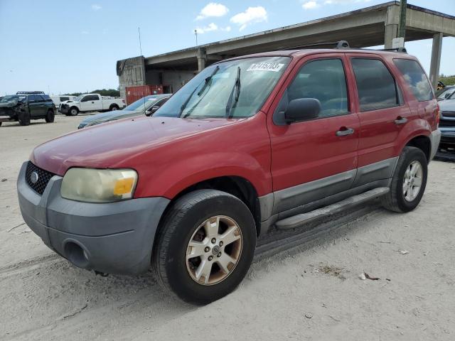 FORD ESCAPE XLT 2007 1fmyu03117ka99692