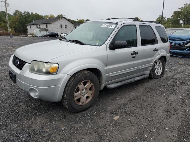 FORD ESCAPE XLT 2007 1fmyu03117kc03534