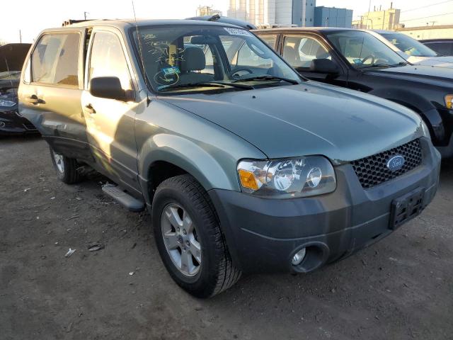 FORD ESCAPE 2007 1fmyu03117kc05963