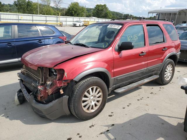 FORD ESCAPE XLT 2004 1fmyu03124kb09609