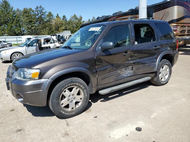 FORD ESCAPE 2006 1fmyu03126kb58778