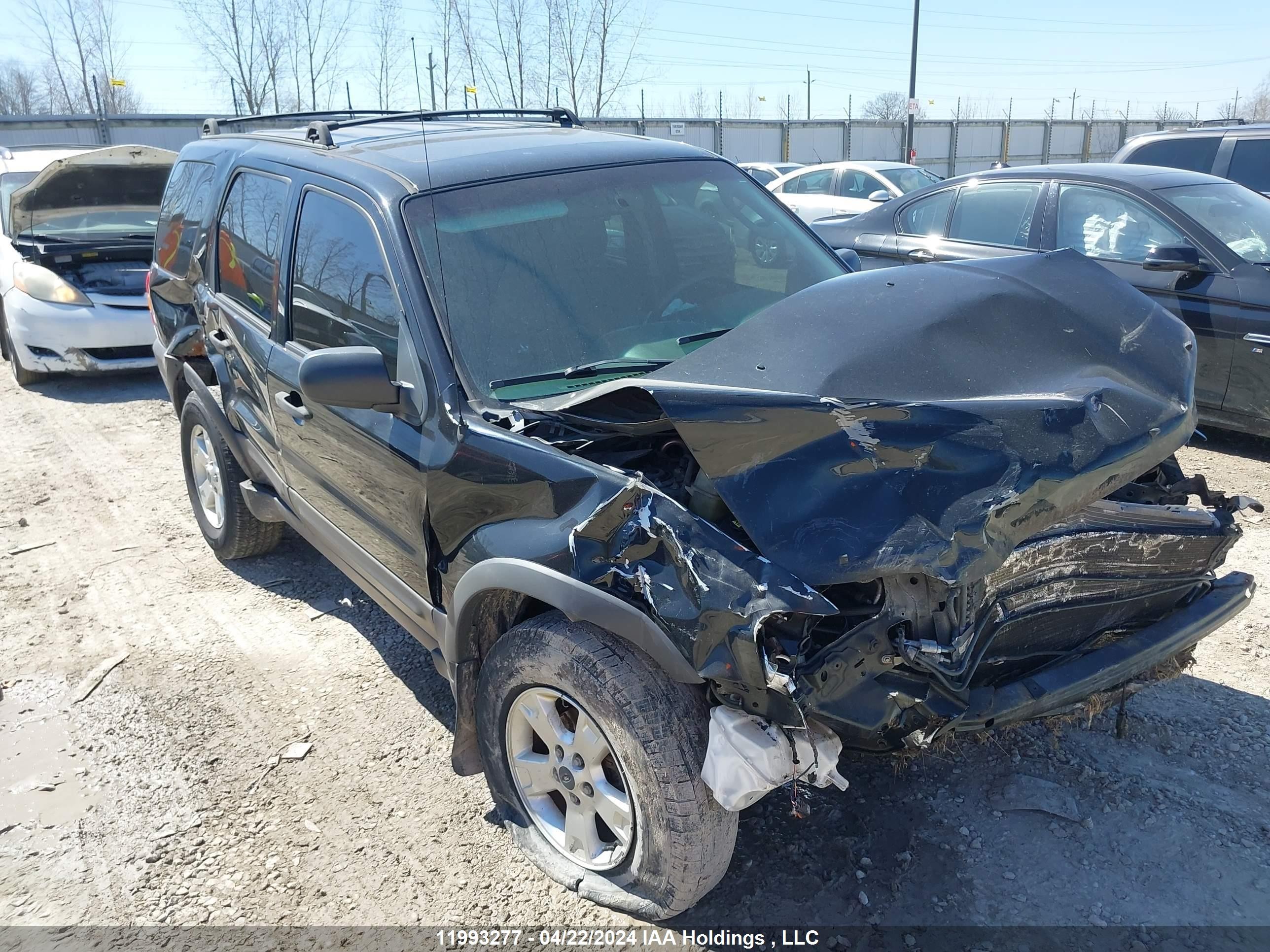 FORD ESCAPE 2006 1fmyu03126kc86101