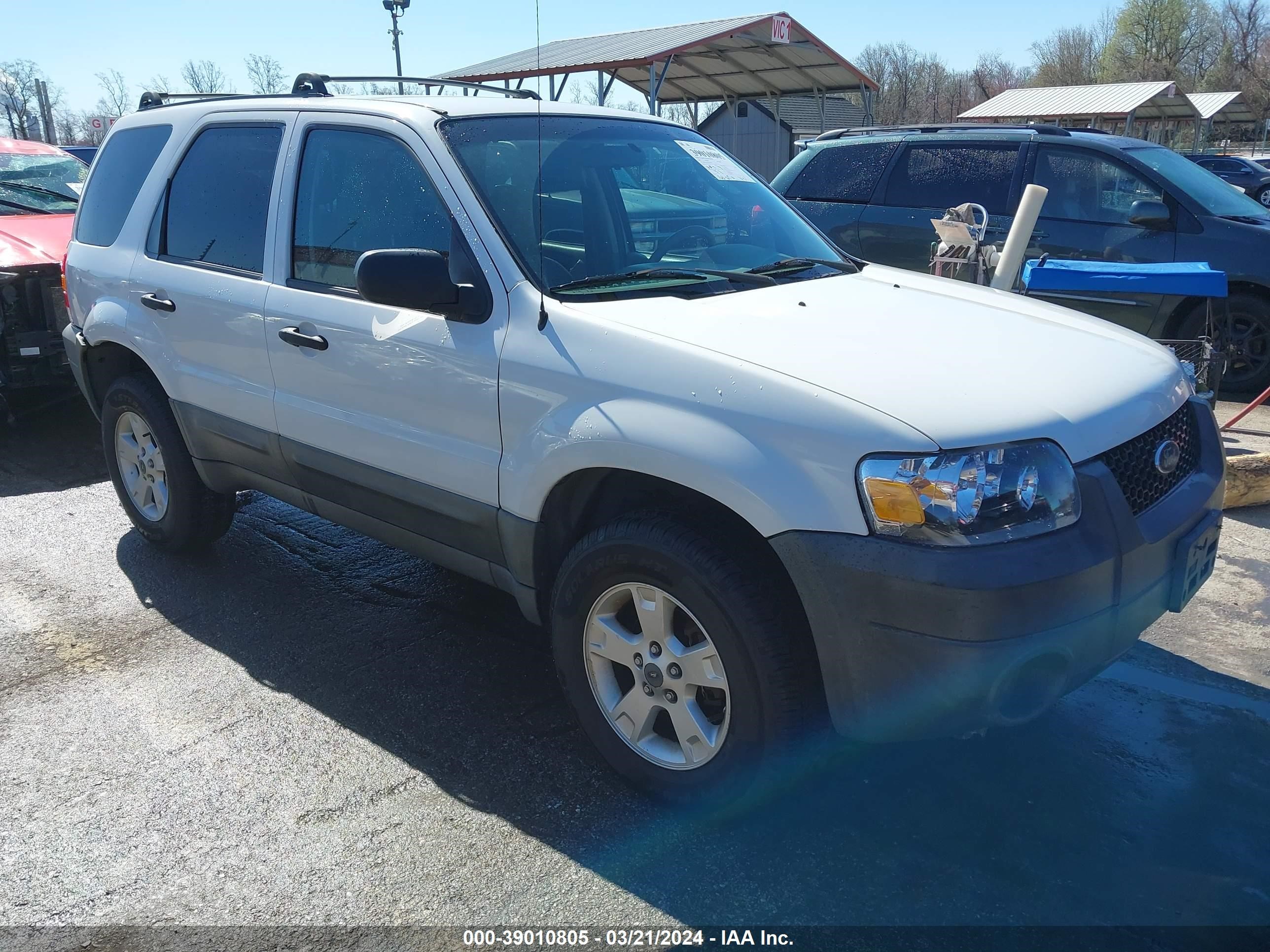 FORD ESCAPE 2005 1fmyu03135kc45460