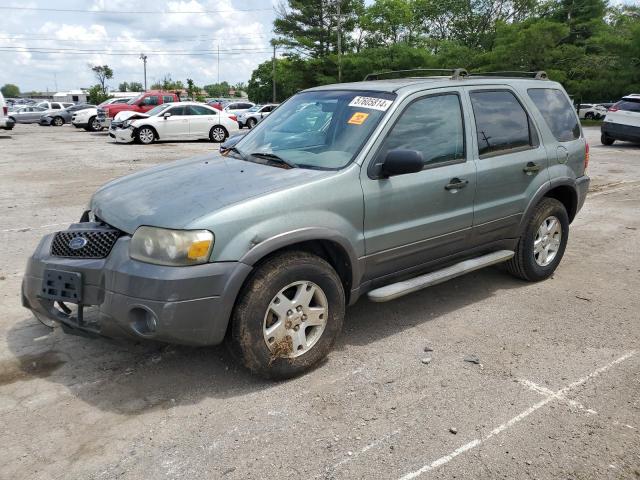 FORD ESCAPE 2006 1fmyu03136ka17816