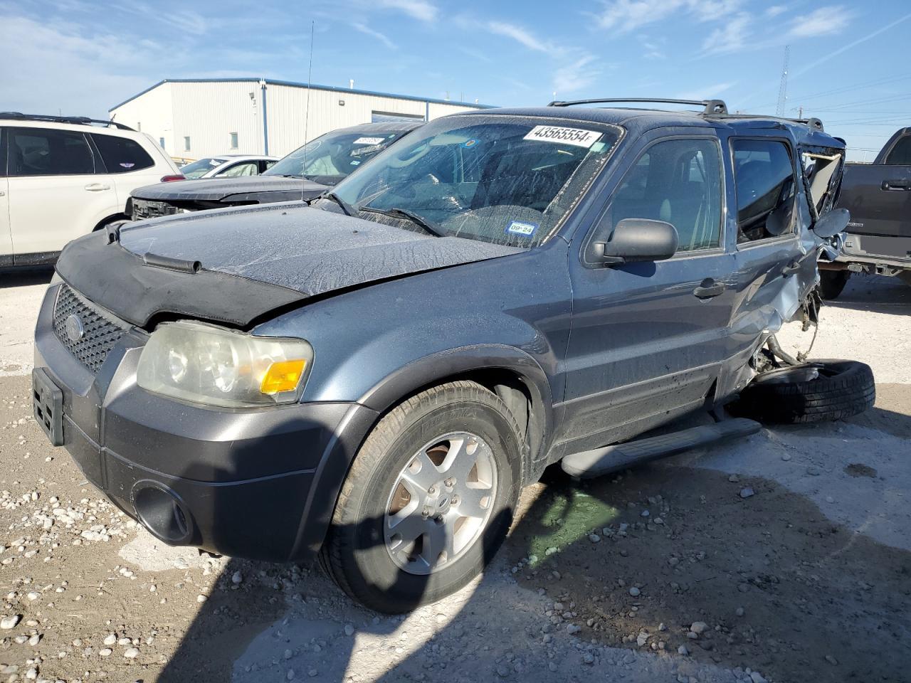 FORD ESCAPE 2006 1fmyu03136kb11193