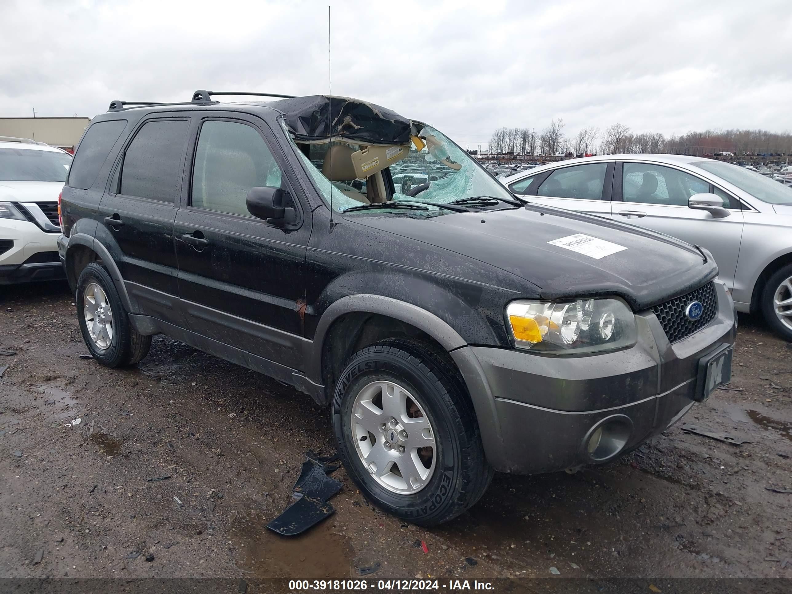 FORD ESCAPE 2006 1fmyu03136kc01721