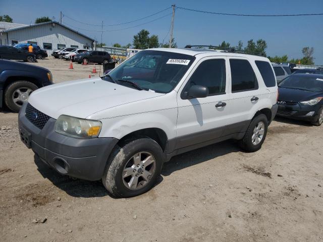 FORD ESCAPE 2006 1fmyu03136kc25453