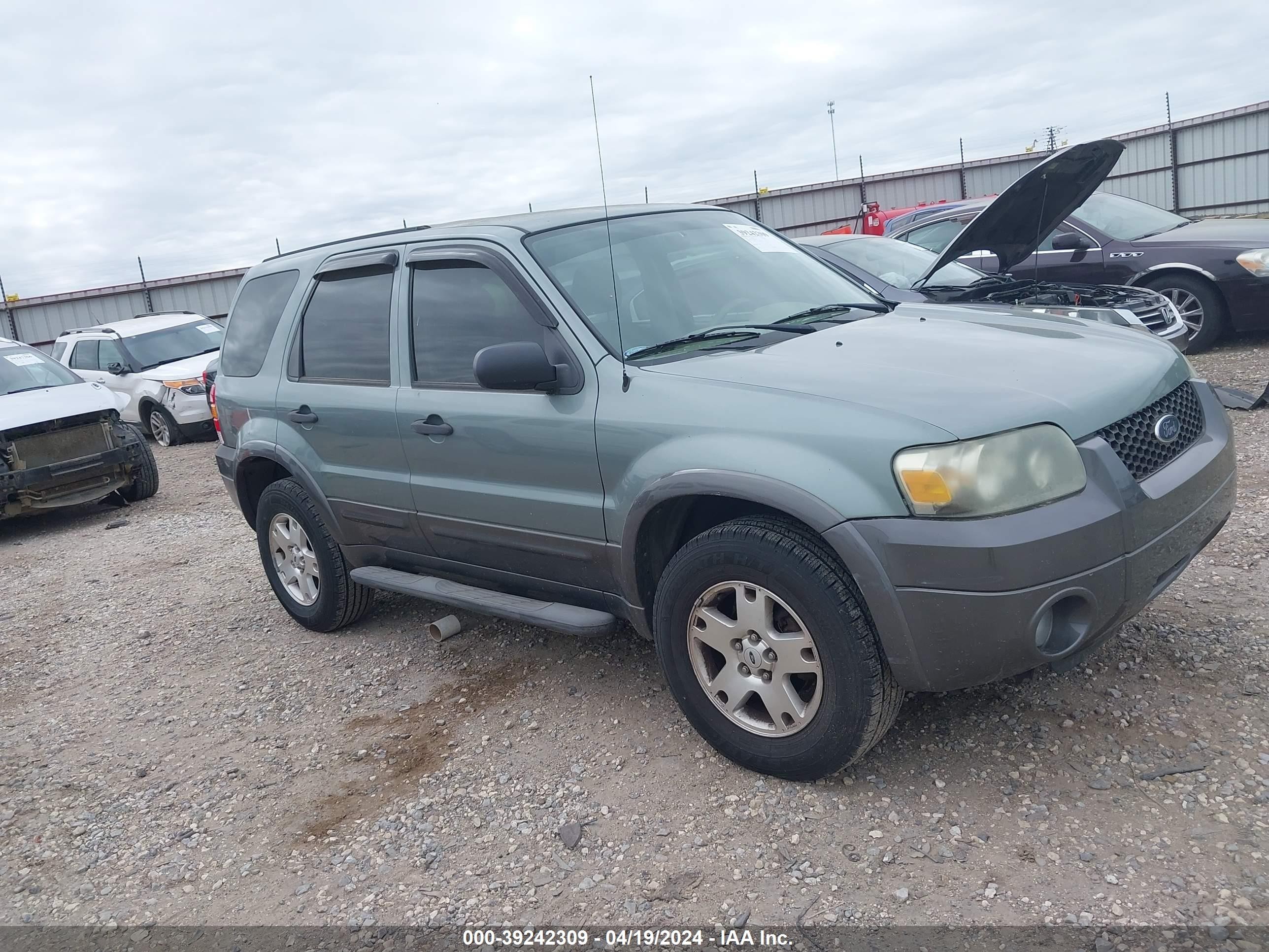 FORD ESCAPE 2006 1fmyu03136kc63281