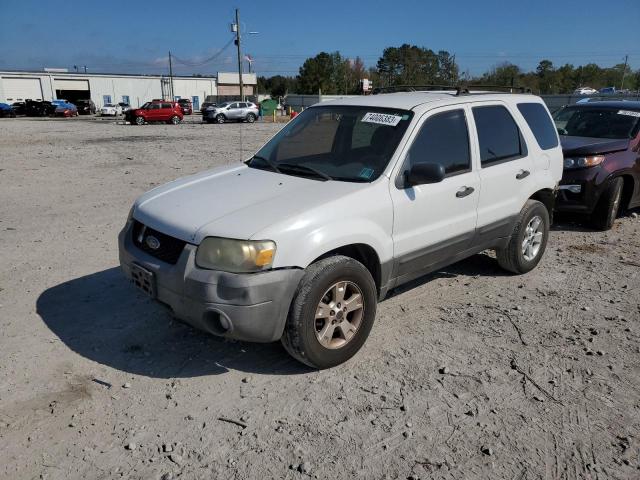 FORD ESCAPE 2007 1fmyu03137kb34636