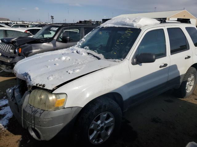 FORD ESCAPE 2005 1fmyu03145ka43629