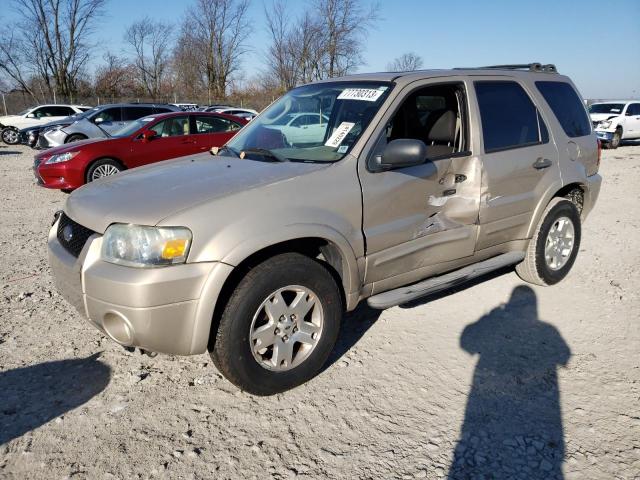 FORD ESCAPE 2007 1fmyu03147ka51037