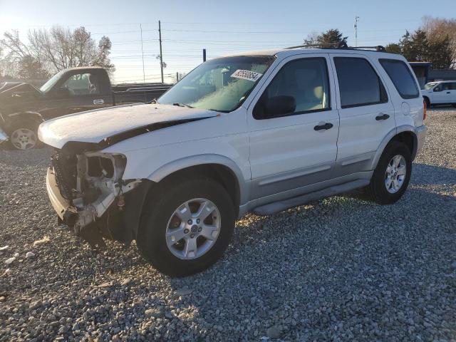 FORD ESCAPE XLT 2007 1fmyu03147ka84524