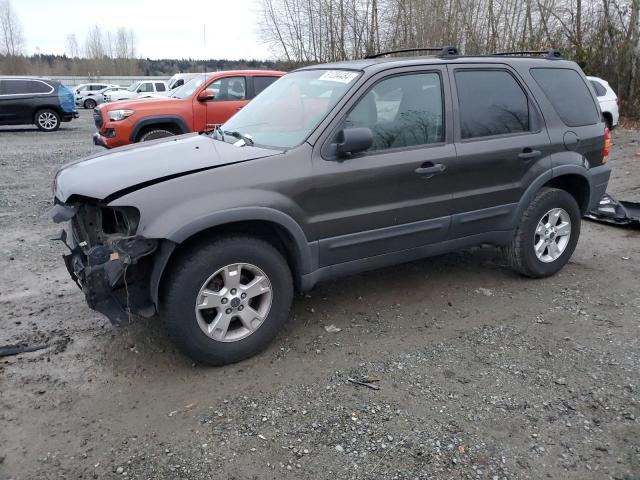 FORD ESCAPE XLT 2007 1fmyu03147kb23872