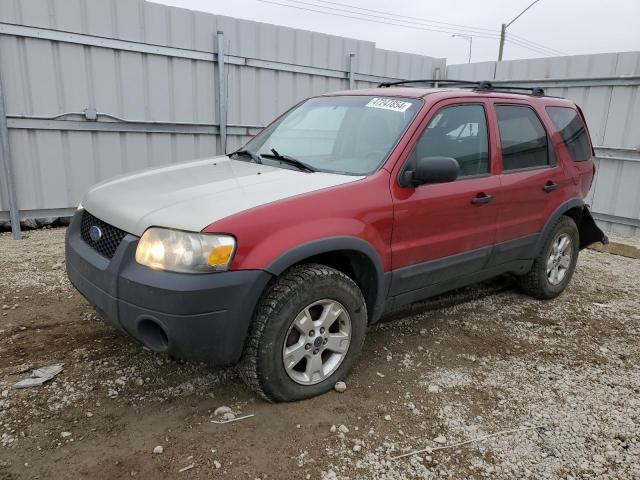 FORD ESCAPE 2005 1fmyu03155ka30162