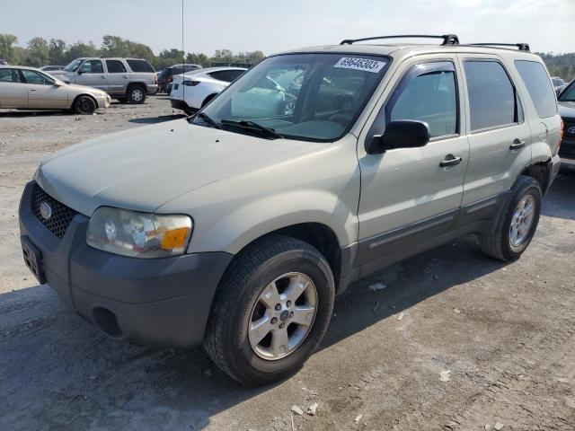 FORD ESCAPE 2006 1fmyu03156ka85910