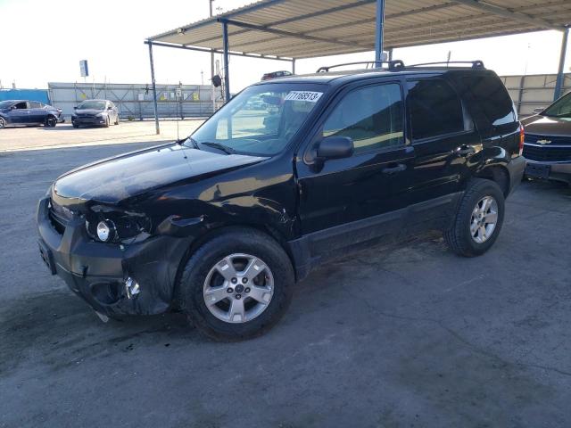 FORD ESCAPE 2006 1fmyu03156kd40037