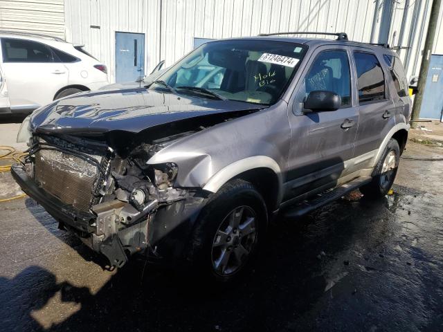 FORD ESCAPE XLT 2007 1fmyu03157ka91367