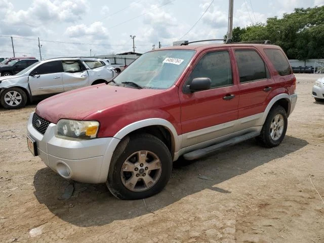 FORD ESCAPE XLT 2007 1fmyu03157kb60185