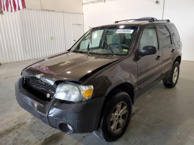 FORD ESCAPE XLT 2007 1fmyu03157kc04556