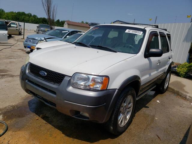 FORD ESCAPE XLT 2004 1fmyu03164ka80941