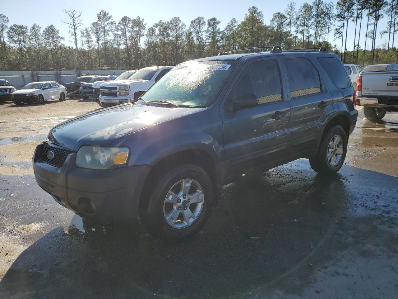 FORD ESCAPE 2005 1fmyu03165kd87320