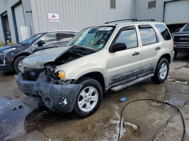 FORD ESCAPE XLT 2006 1fmyu03166ka78934