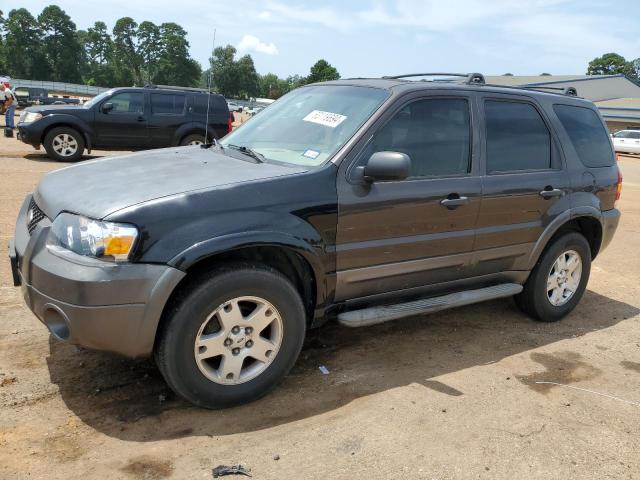 FORD ESCAPE 2006 1fmyu03166kd36157