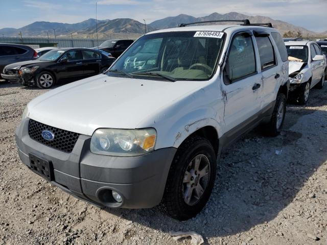 FORD ESCAPE XLT 2007 1fmyu03167ka22073