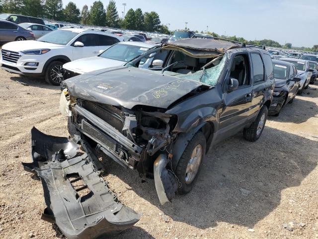 FORD ESCAPE XLT 2007 1fmyu03167ka28701