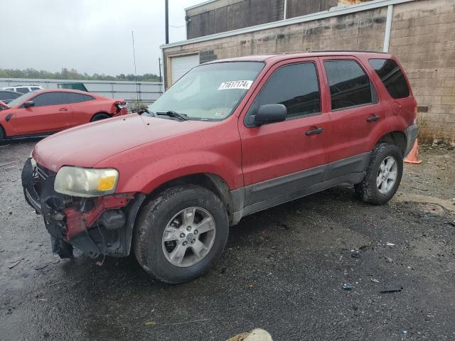 FORD ESCAPE XLT 2005 1fmyu03175ka63888