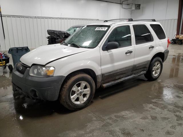 FORD ESCAPE 2005 1fmyu03175kc06838