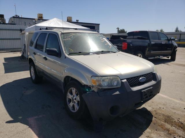 FORD ESCAPE XLT 2006 1fmyu03176kb18972