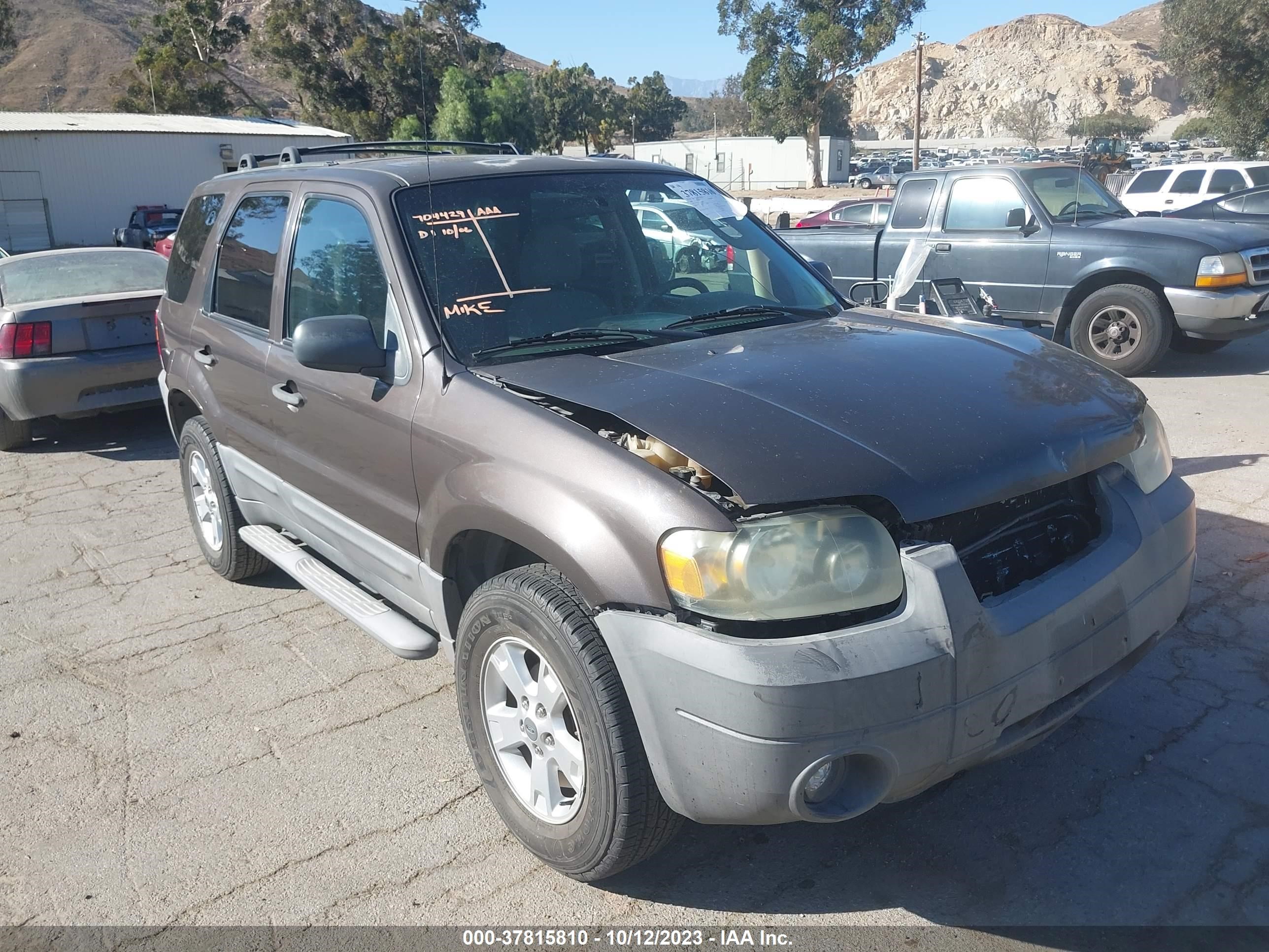 FORD ESCAPE 2006 1fmyu03176kd55218