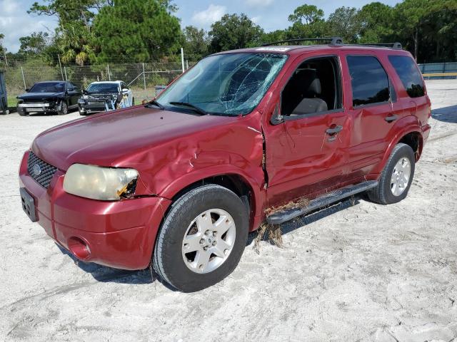 FORD ESCAPE XLT 2007 1fmyu03177ka61013