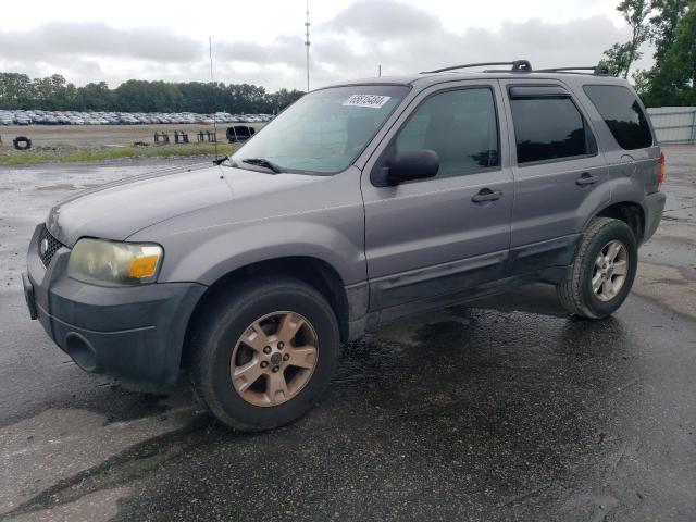 FORD ESCAPE 2007 1fmyu03177kb18035