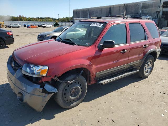 FORD ESCAPE XLT 2005 1fmyu03185ka84202