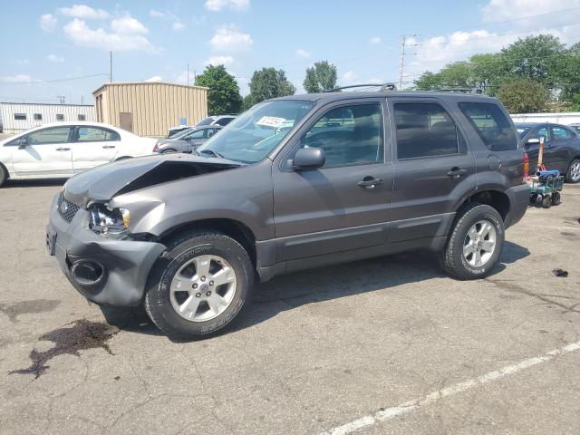 FORD ESCAPE 2006 1fmyu03186ka12014