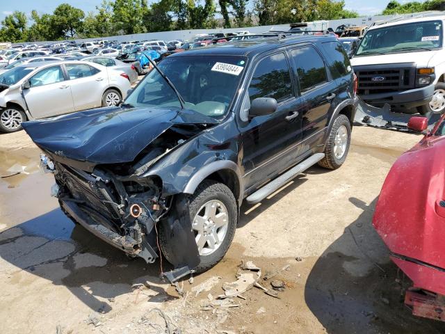 FORD ESCAPE XLT 2006 1fmyu03186ka42484