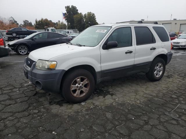 FORD ESCAPE XLT 2006 1fmyu03186kb77528